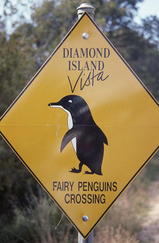 WT 0400 080-20 Australia.jpg